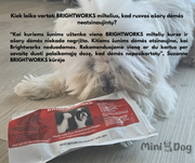 Brightworks milteliai nuo kailio rudavimo 50g