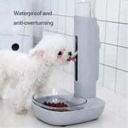 Girdykla su dubenėliu, pilka 680ml gertuvės talpa