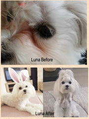 Brightworks milteliai nuo kailio rudavimo 50g