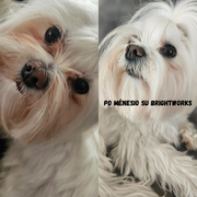 Brightworks milteliai nuo kailio rudavimo 50g